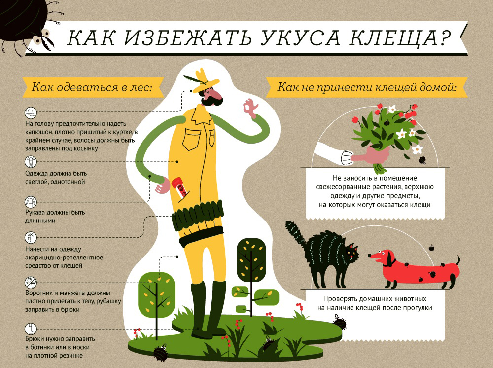 Как избежать укуса клеща