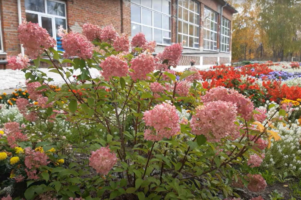 Итоги муниципального творческо-исследовательского конкурса «Украсим район цветами»