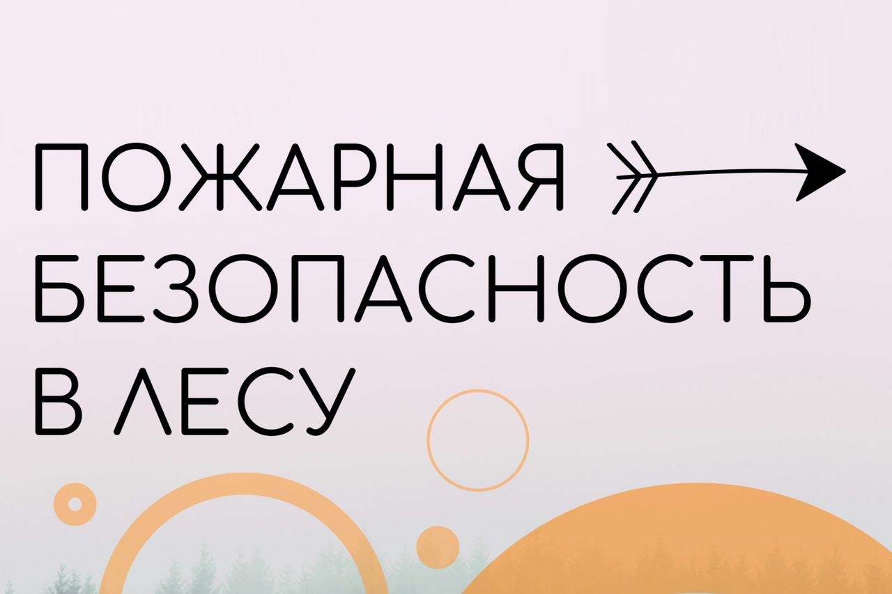 Правила пожарной безопасности в лесу