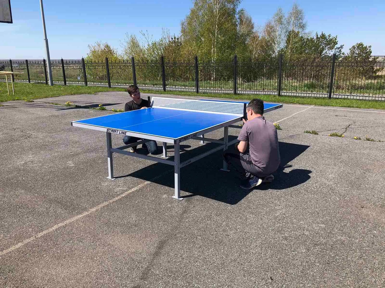 Развитие настольного тенниса