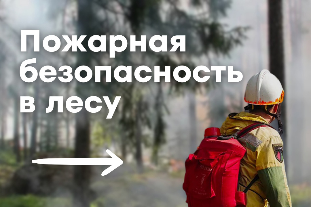 Правила пожарной безопасности в лесу