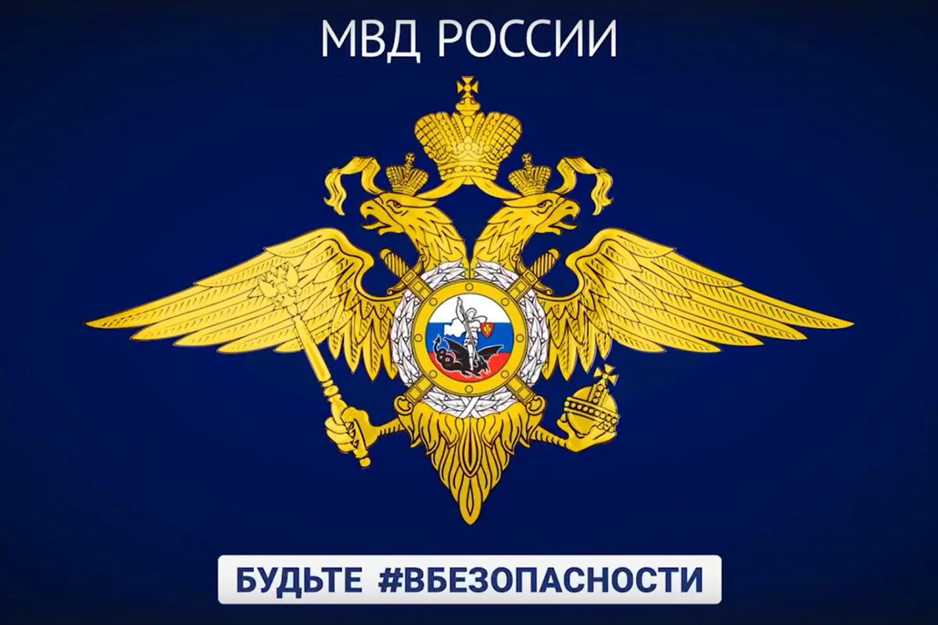 Стоп, мошенник!