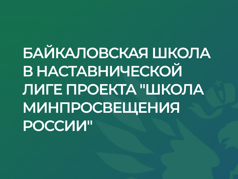 Байкаловская школа в наставнической лиге