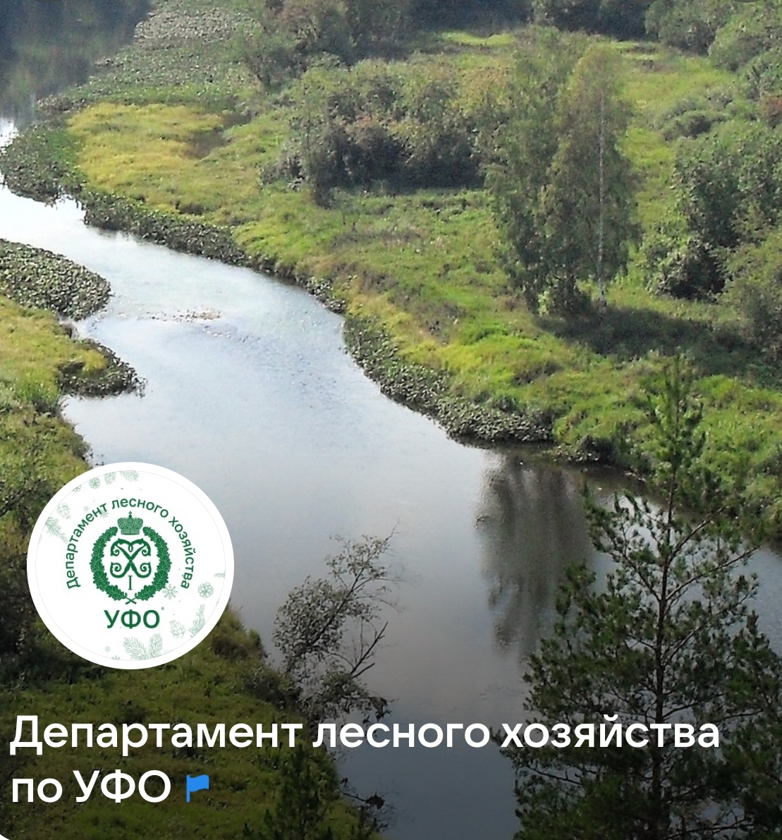 Поздравляем победительницу конкурса «Событие года» от Департамента лесного хозяйства по УФО!